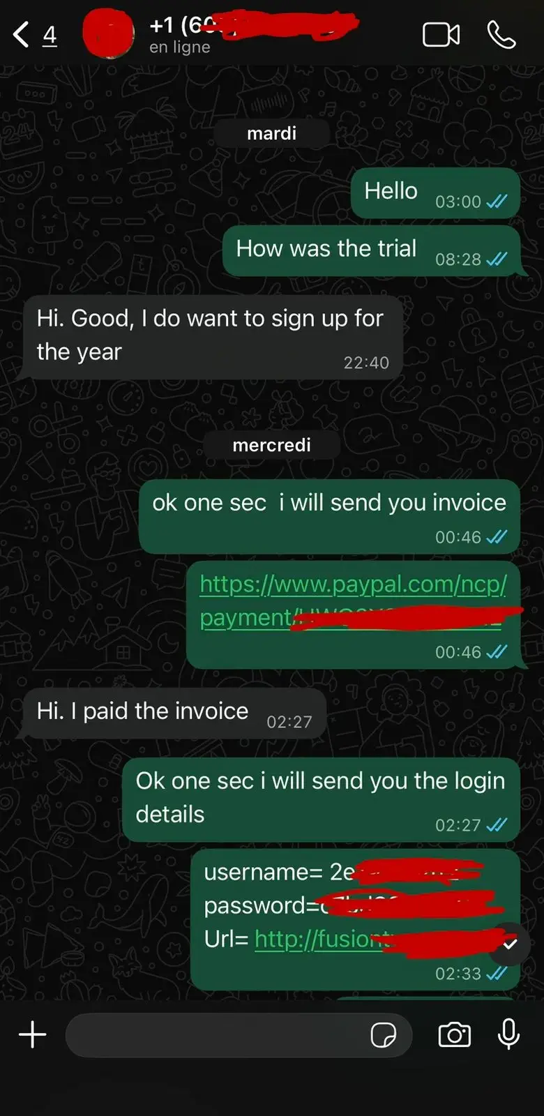 IPTV Fusion customer review screenshot 11 — verified WhatsApp feedback